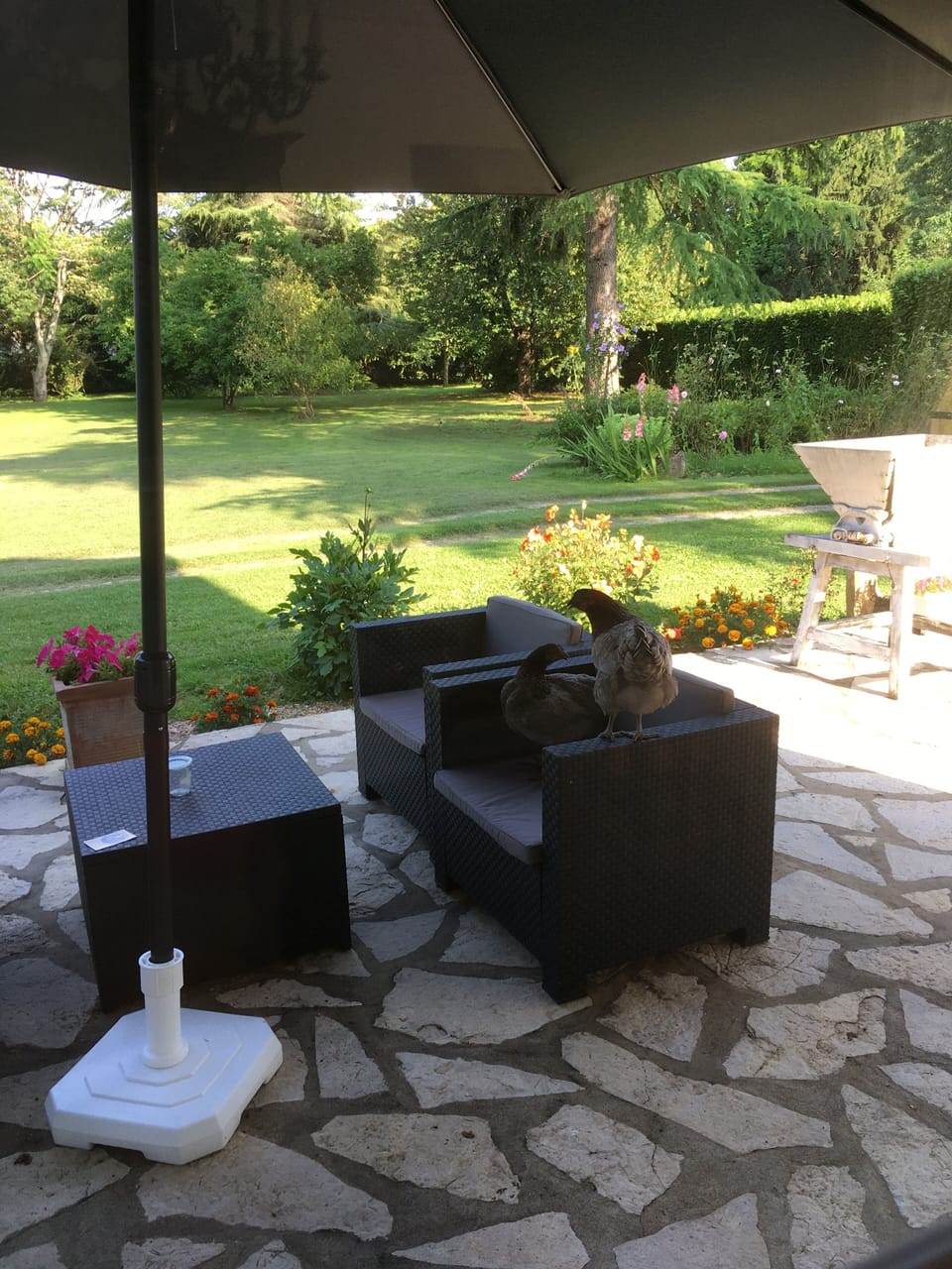 Terrace/patio