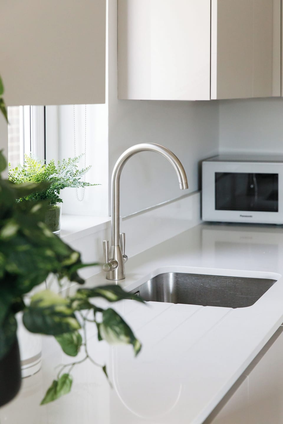 Kitchen sink and microwave
