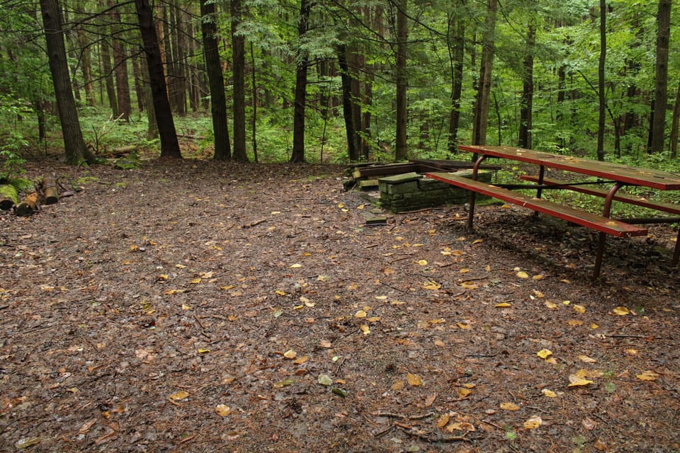 Campsite at Camp Earth Connection