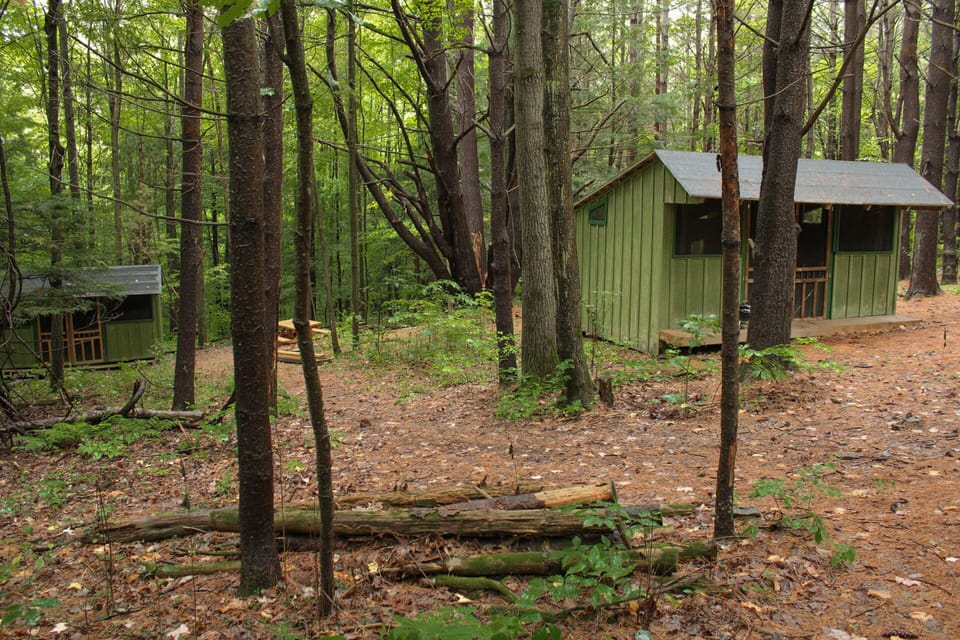 Rustic cabins at Camp Earth Connection