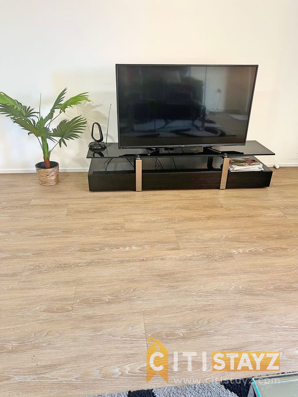 Television