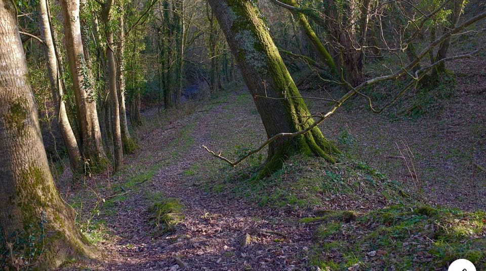 Activities & Experiences