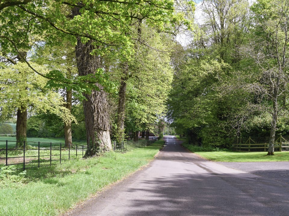 Surrounding area | Club Cottage, Farleigh Wallop, near Basingstoke