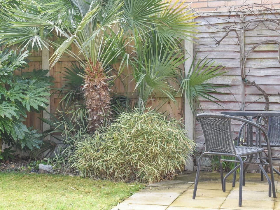 Outdoor area | Cranleigh, Pakefield