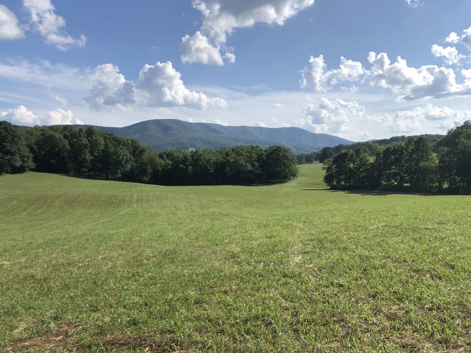 View from the sunroom or back deck
