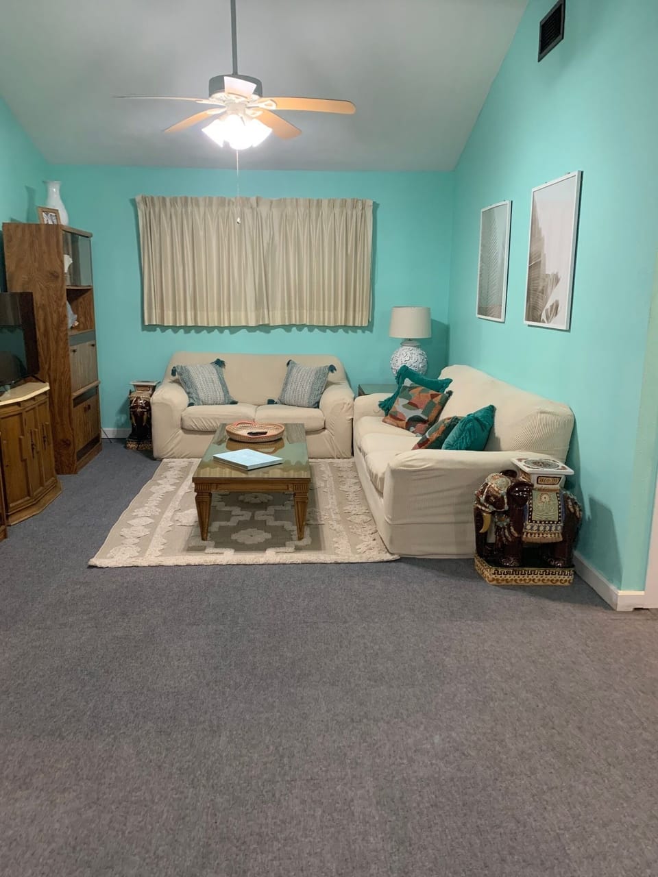 Living Room with TV
