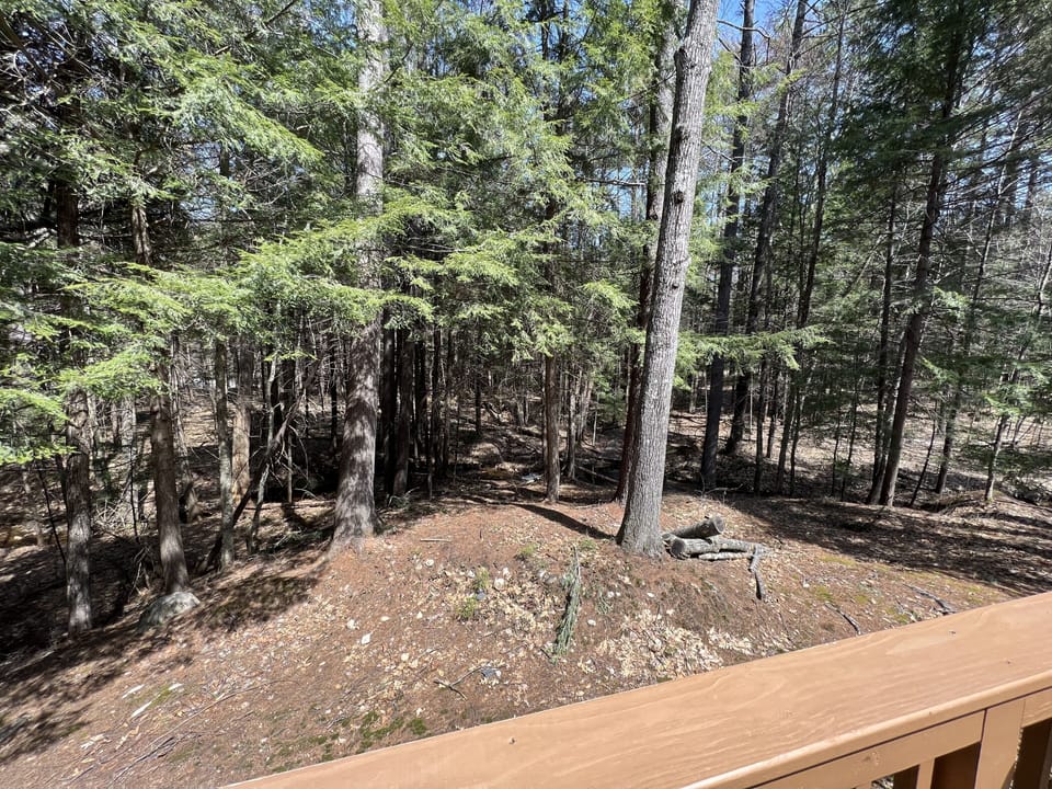 View from property
