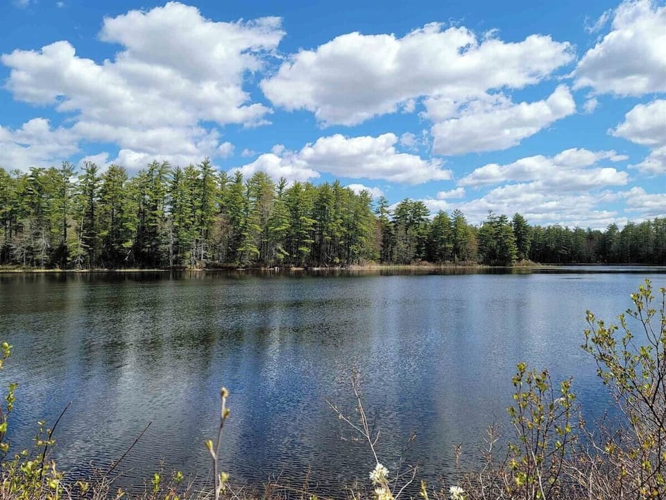 One of the views of the pond in the summer