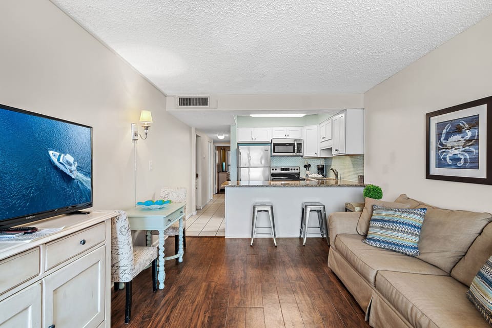 Living and Kitchen Area