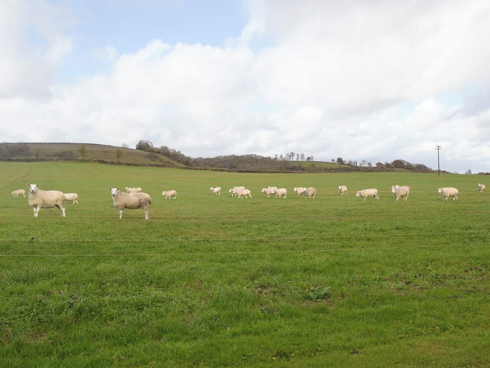 Great views of surrounding farmland | The Creamery, North Wootton, near Wells