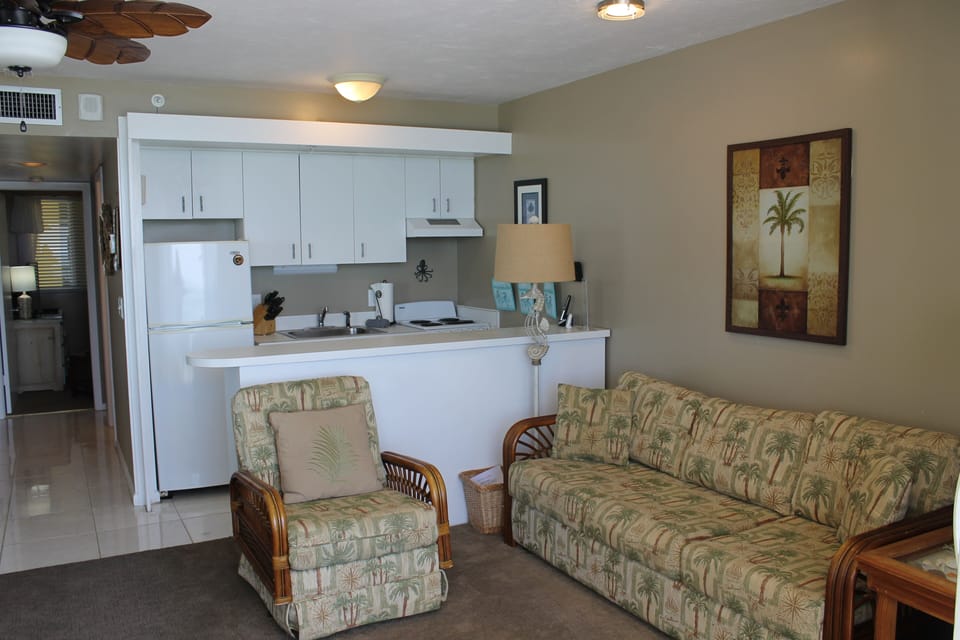 Kitchen/Living Area - Pullout SofaBed