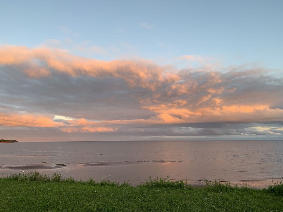 View from backyard, cliff overlooking ocean