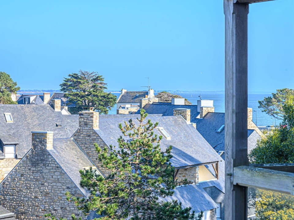 Sky, Daytime, Shade, Wood, Tree, Building, Sunlight, Fence, Grass, Plant