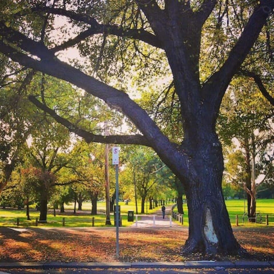 Beautiful Princes Park just across the road.