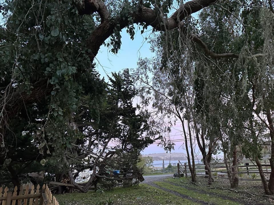 Serene setting at the Harbor Kee.