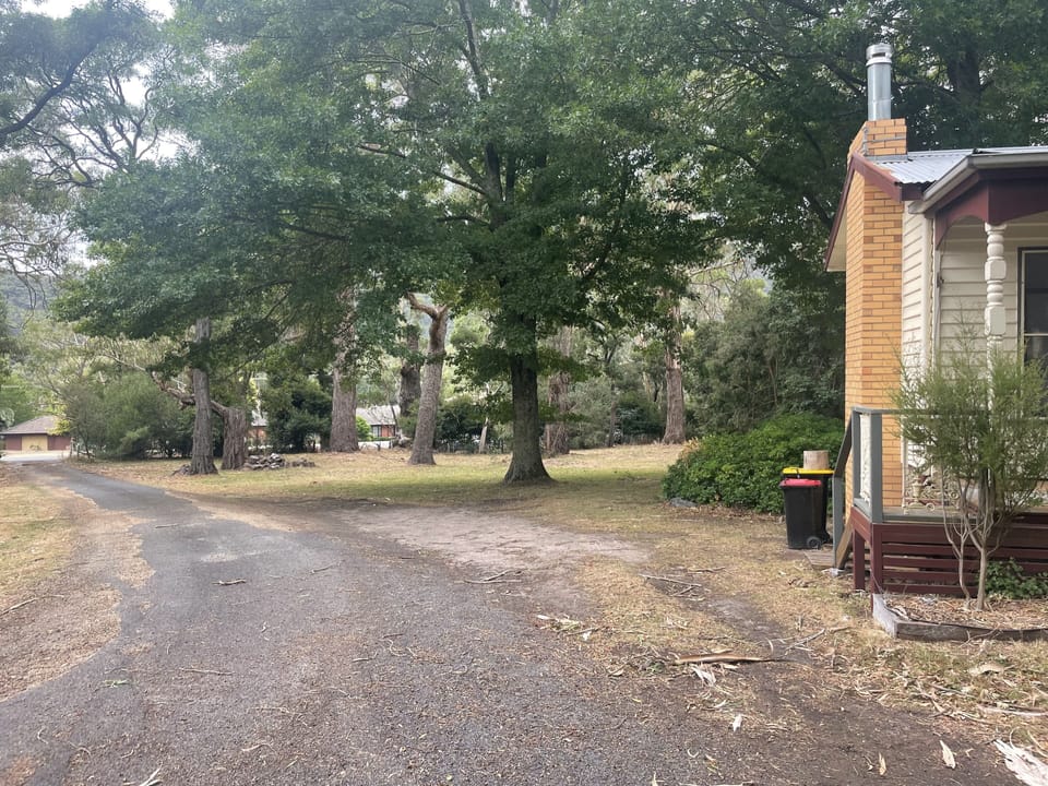 Photo of front 'yard' looking down driveway towards Grampians Road