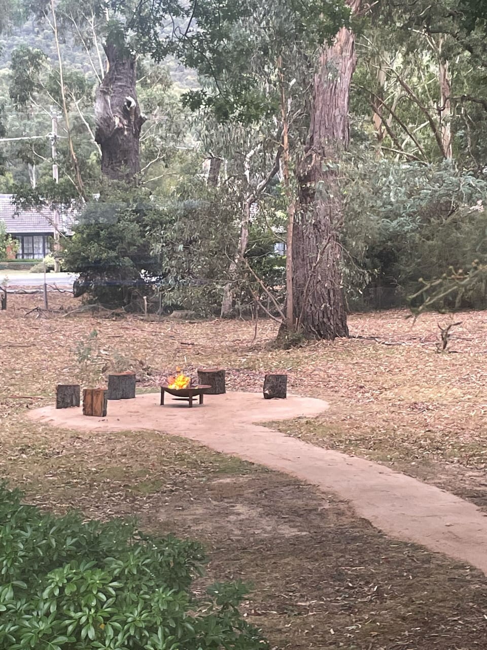 Fire pit area.