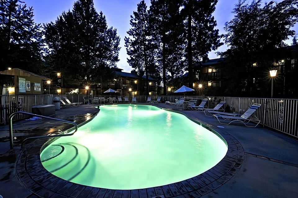 Dive into a glowing evening swim beneath towering pines.