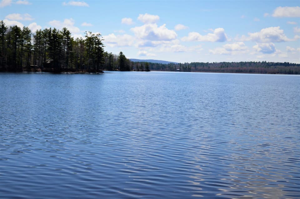 Beautiful Chemo Pond