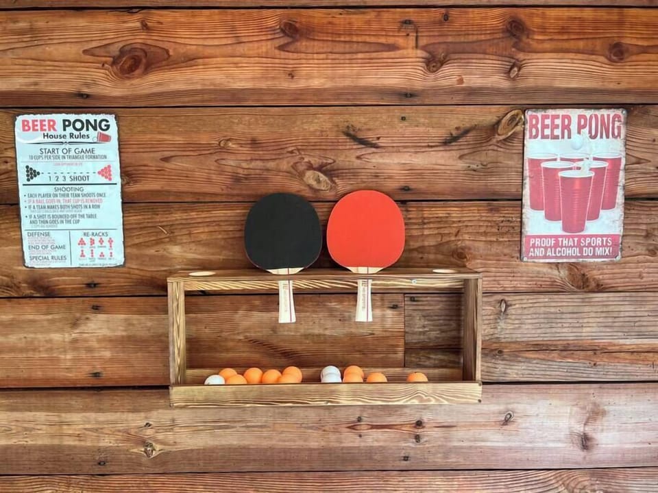 Ping Pong Setup