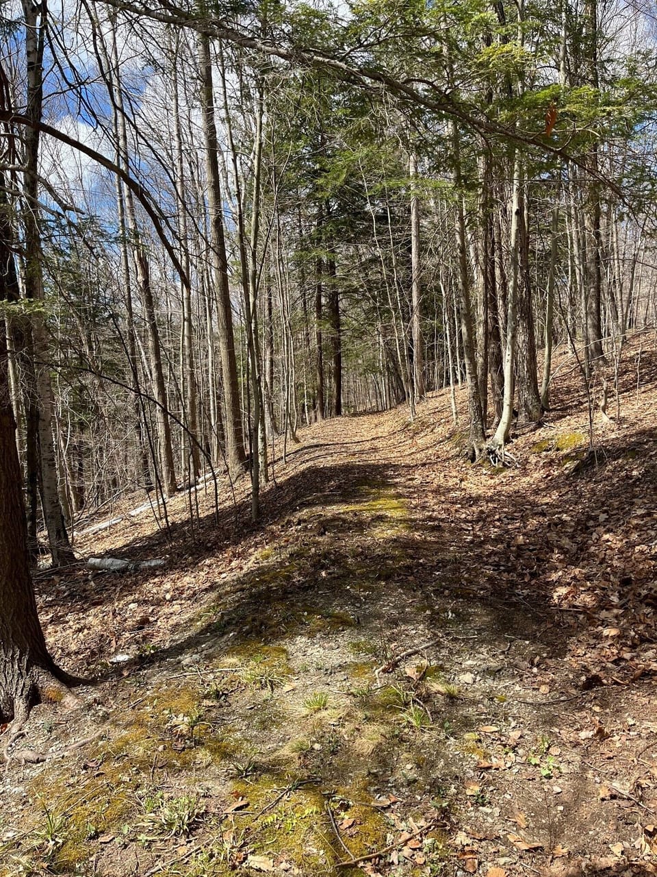 Hiking trail steps from front door
