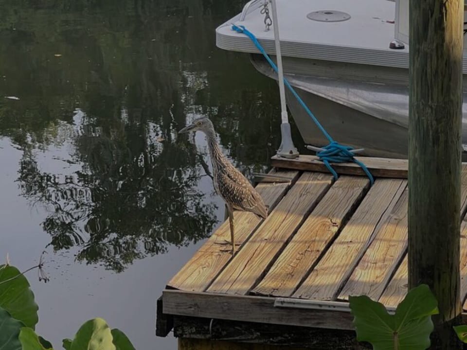 Local Crane