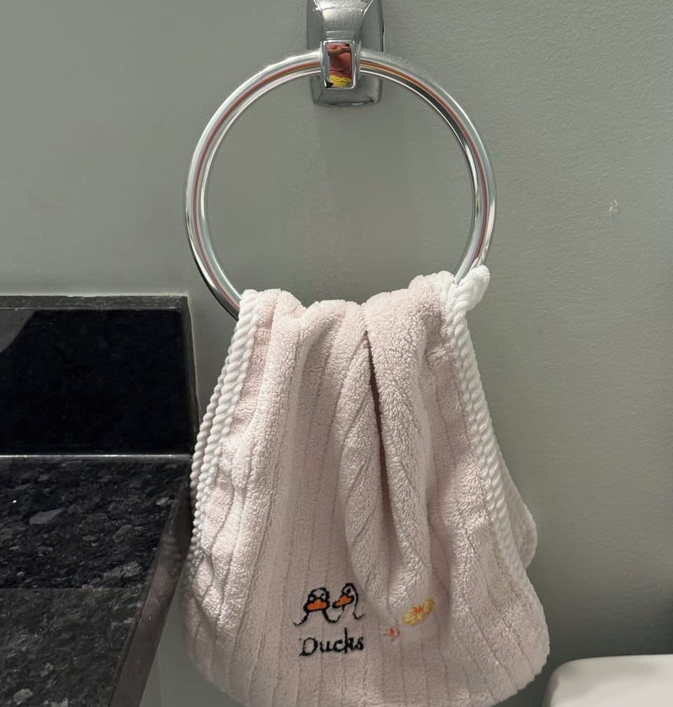 Bathroom cleaning cloth