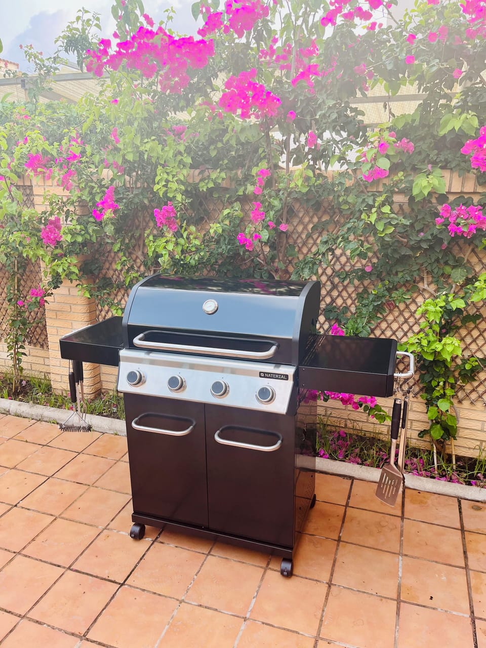 Great Pro BBQ unit for grilling.