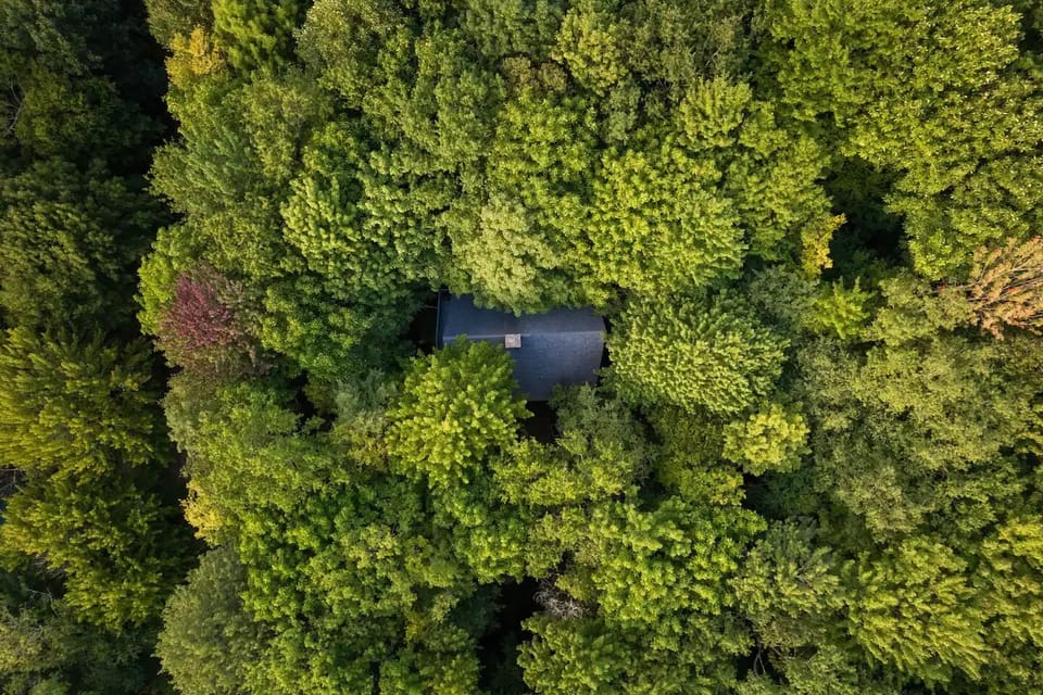 Hidden in the treetops, this peaceful retreat is calling your name!