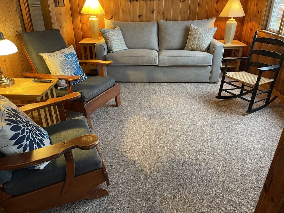 Living room, pullout couch