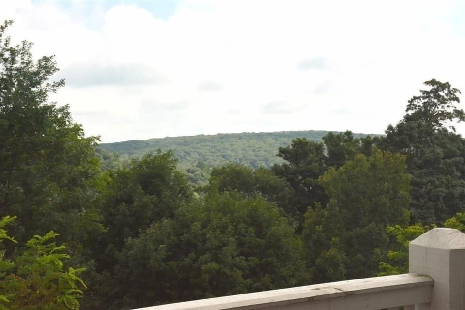 Vegetation, Land, Nature, Outdoors, Tree