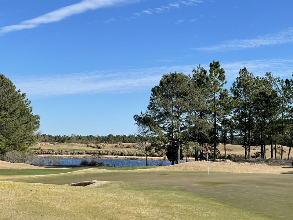 Heathland #10