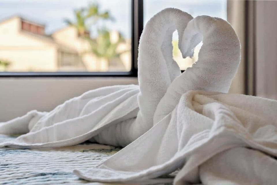 Love birds...