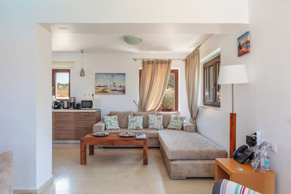 The living room features a 40’’ TV, open fireplace and access to the pool terrace.