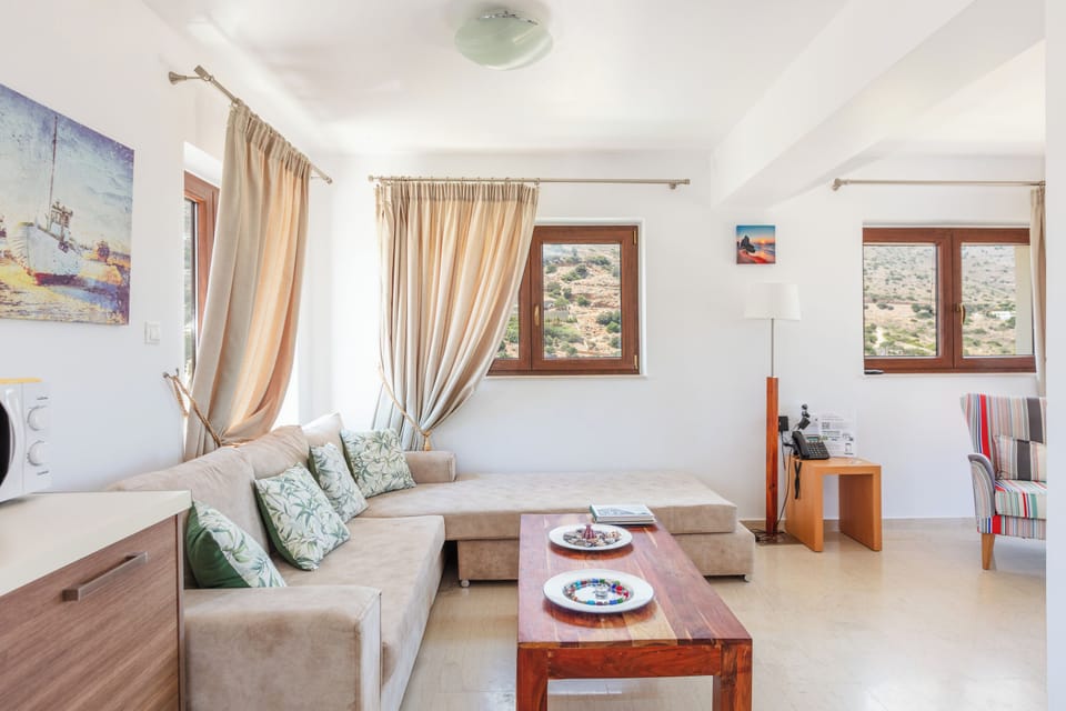 The living room is located on the ground floor and it features a 40’’ TV, open fireplace and access to the pool terrace.