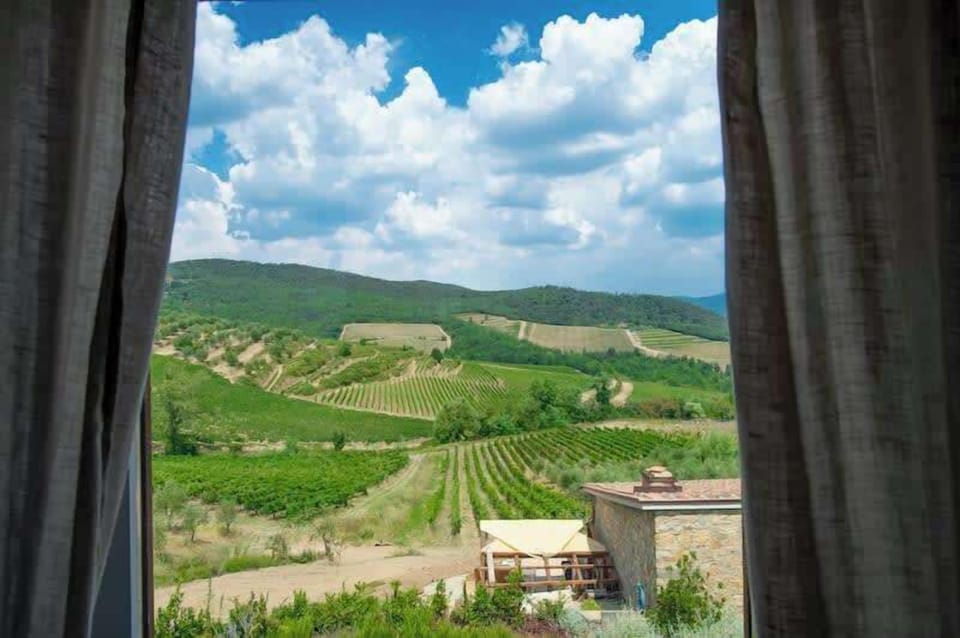 View from the house