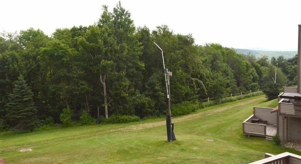 Grass, Tree, Vegetation, Land, Nature