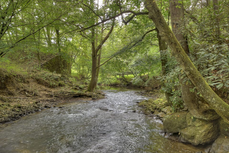 Cozy Creek is a great place to fish, tube or kayak
