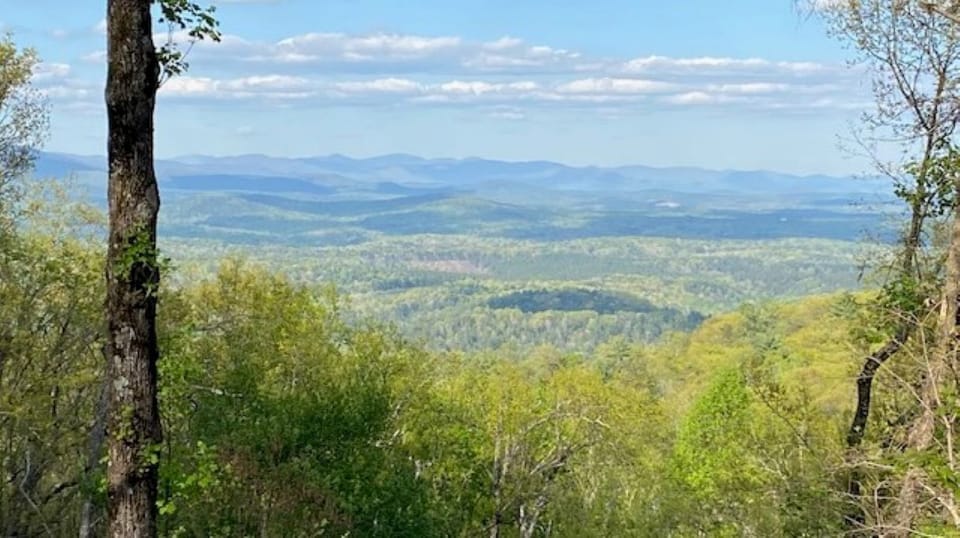 This was taken from the deck!