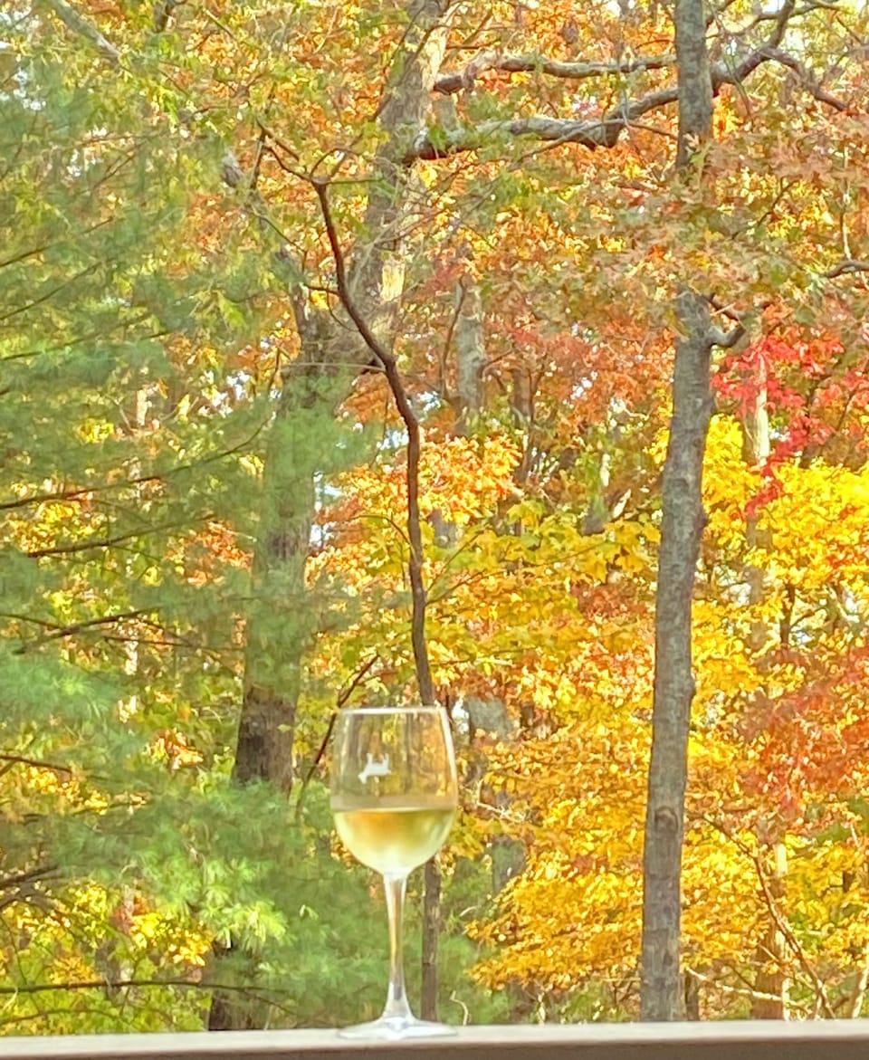 View From Front Porch