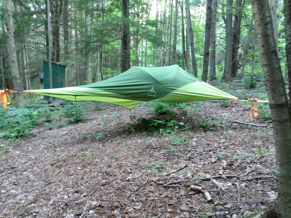 Tree tent campsite at Camp Earth Connection