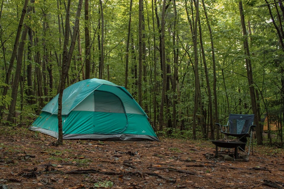 Campsite at Camp Earth Connection