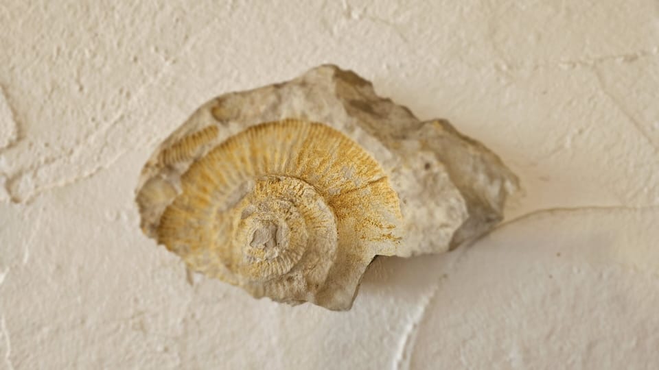 Decorative detail