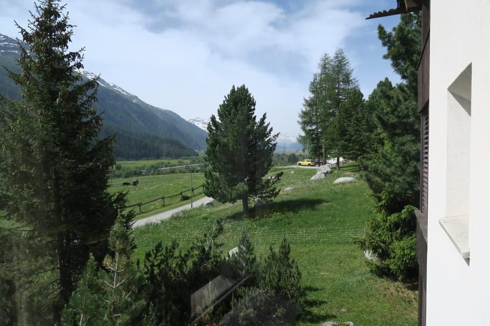 Picture 16