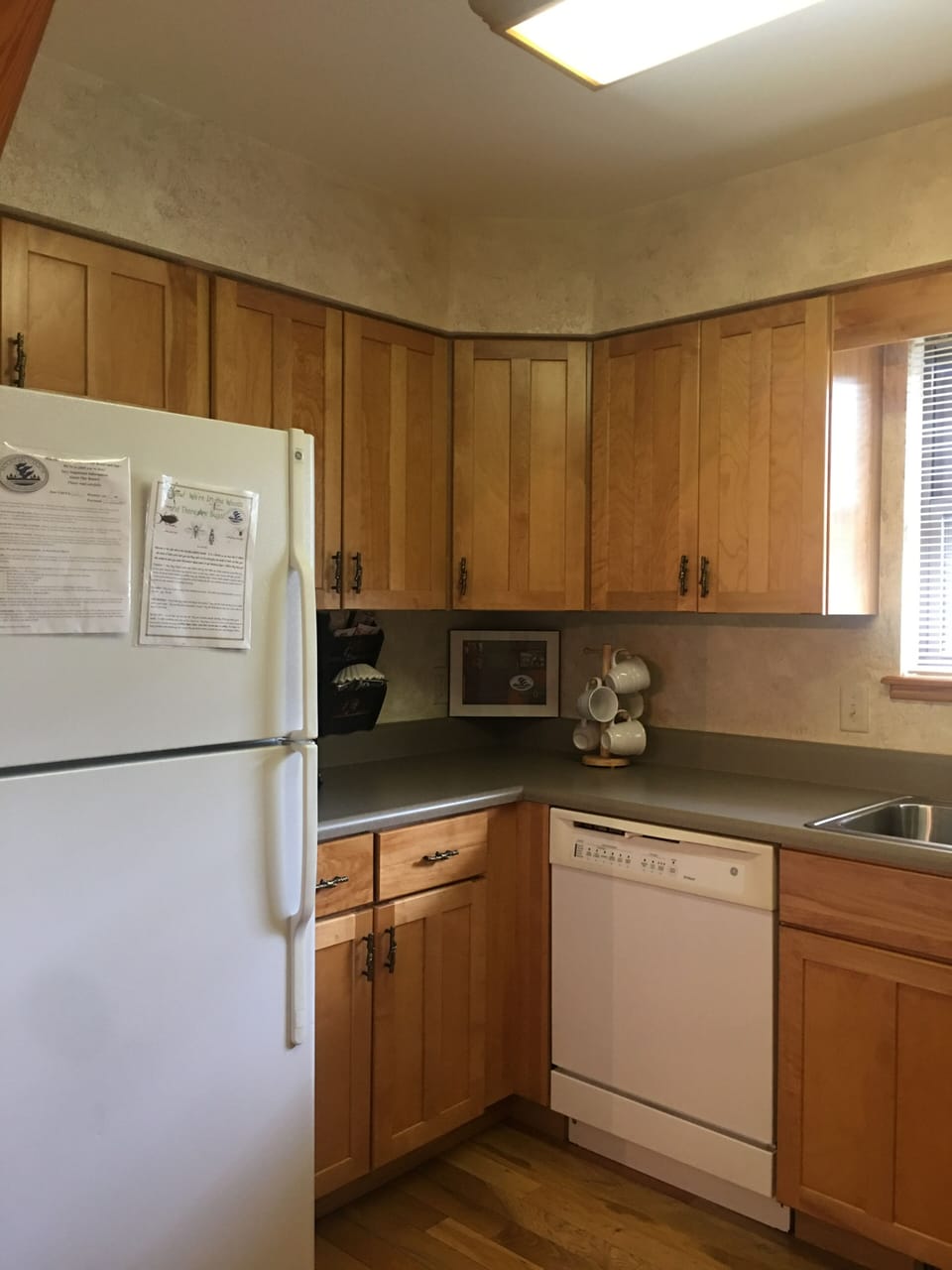 Indoors, Refrigerator, Sink, Kitchen, Floor