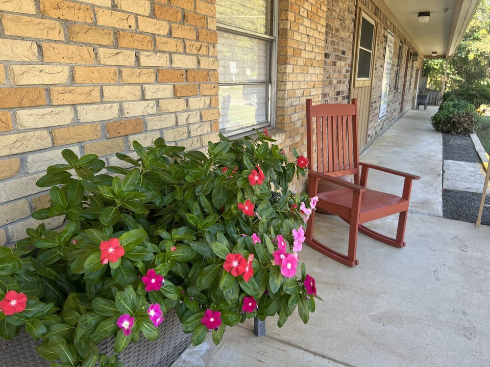 Pottery, Vase, Flower, Path, Walkway