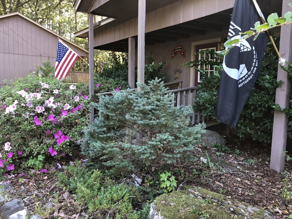 Tree, Outdoors, Shelter, Garden, Nature