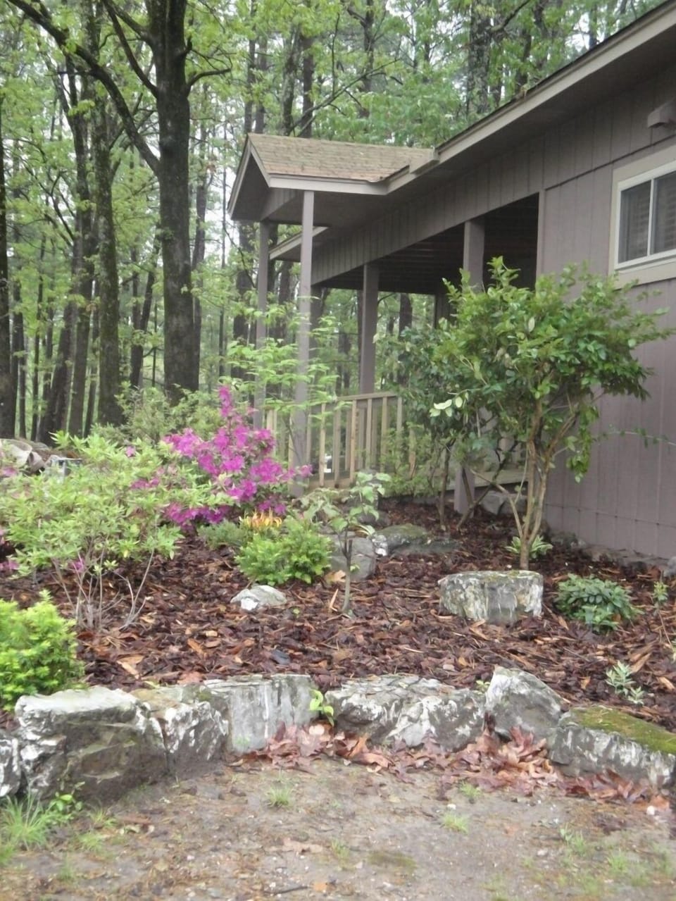Nature, Outdoors, Yard, Shelter, Grove
