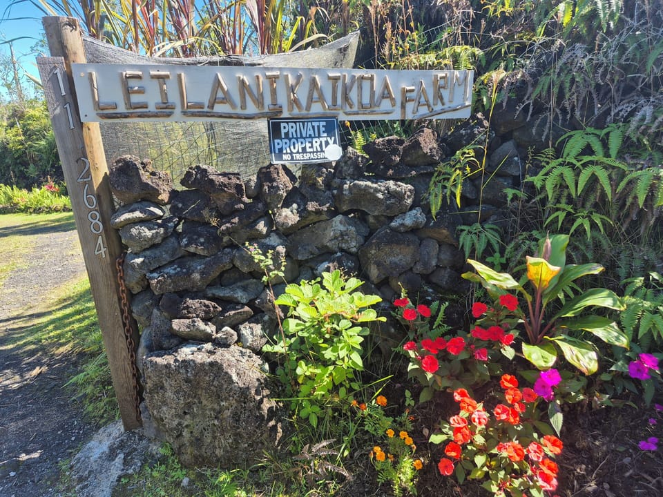 the entrance..private 2 acres to enjoy