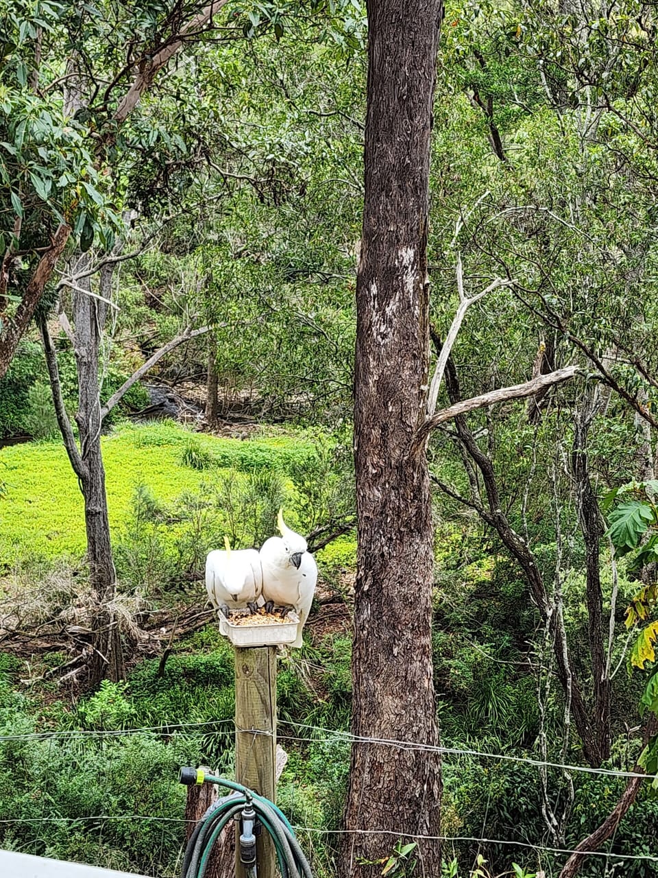 Regular visitors